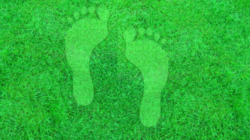 🌿 По следам природы🗺️✨ 🌿 По следам природы🗺️✨.