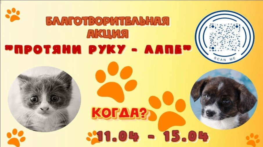 Благотворительная акция "Протяни руку лапе" Благотворительная акция "Протяни руку лапе".